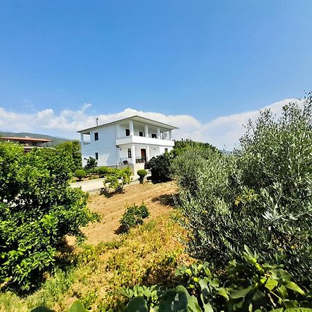 Villa Besart Berat Extérieur photo